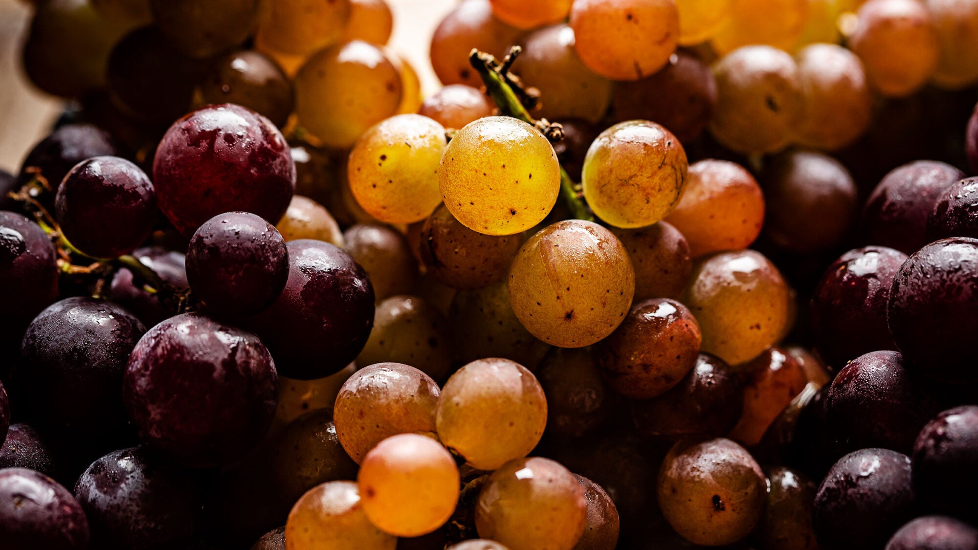 Article-Seasonal-Grape-Recipe