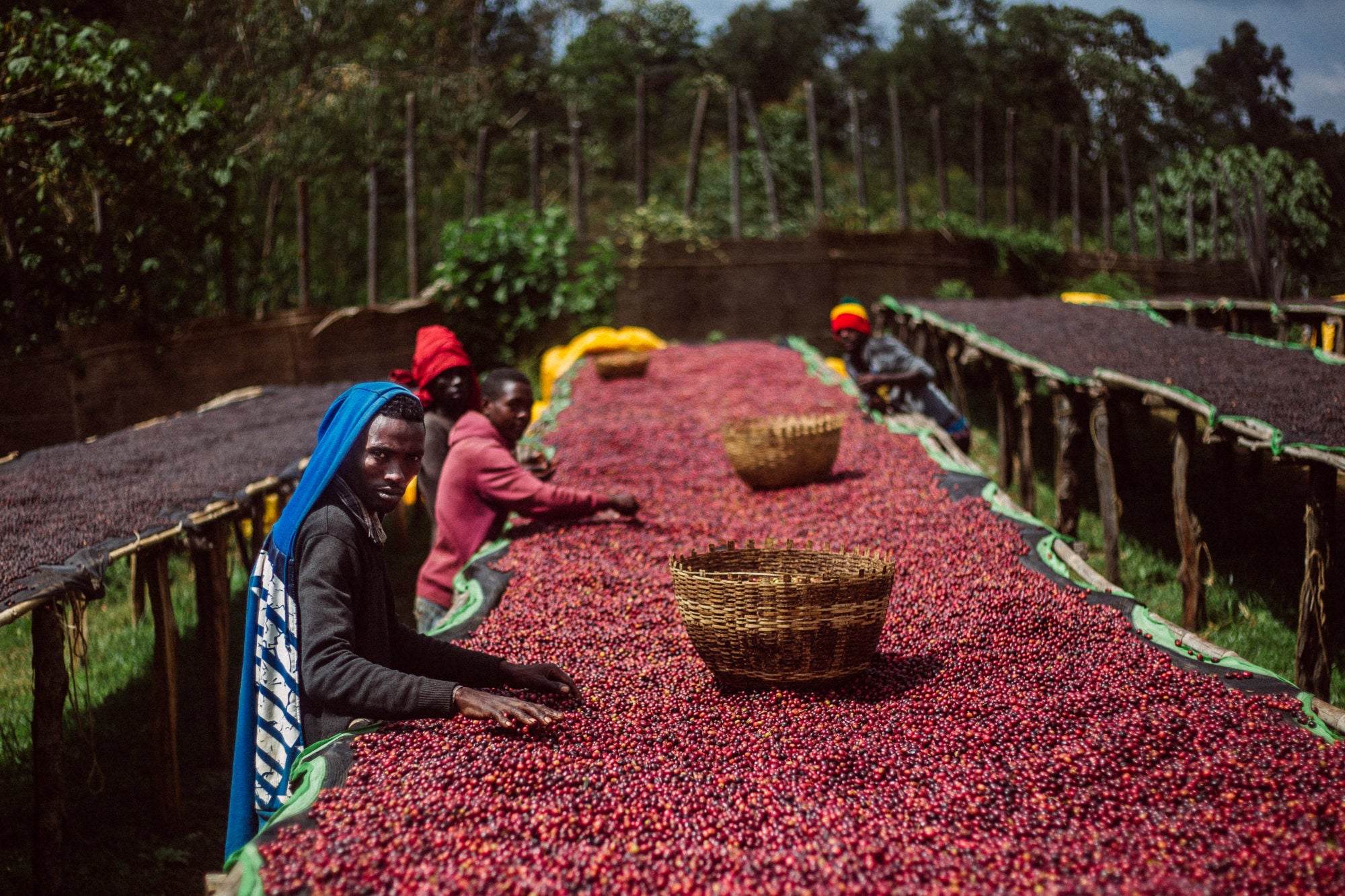 Taste-Ethiopia-by-@eyalyassky-1282-2000×13331